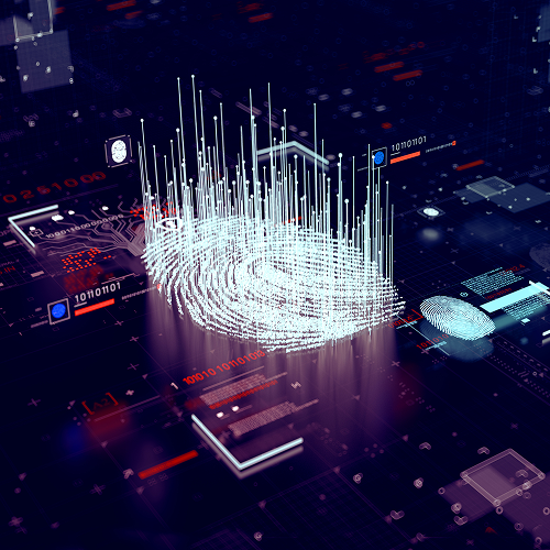 Bridging the Cybersecurity Gap: Personal Cyber Coverage for Executives